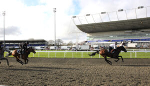 EN4D9795 Old Park Star