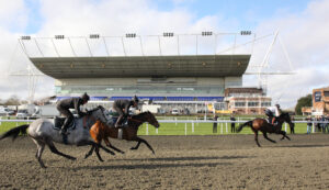 EN4D9800 Old Park Star