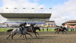 EN4D9801 Old Park Star