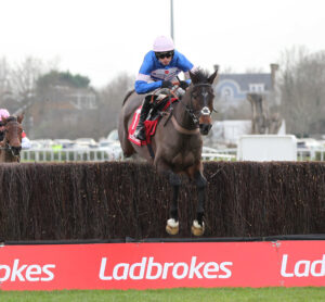 FU0E1099 Blueking D’Oroux