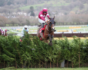 FU0E3904 Favori De Champdou