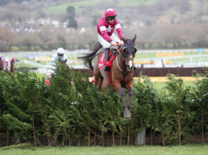 FU0E3905 Favori De Champdou