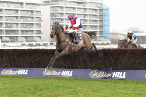 FU0E4412 Haito Couleurs