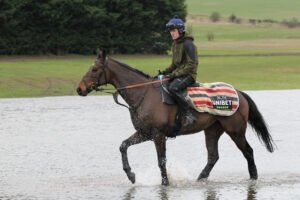 FU0E4917 Constitution Hill