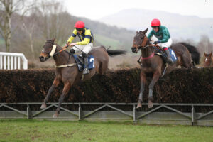 FU0E5159 Bucksy Des Epeires