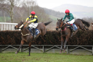 FU0E5160 Bucksy Des Epeires