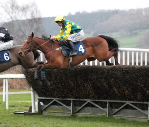 FU0E5313 Falco Des Pins