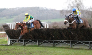 FU0E5329 Falco Des Pins