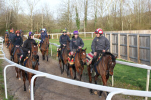 FU0E5548 The Jukebox Man