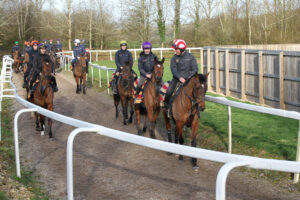 FU0E5559 The Jukebox Man