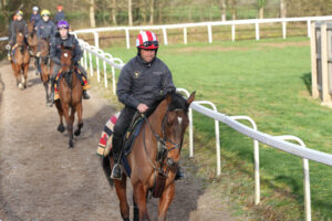 FU0E5574 The Jukebox Man