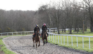 FU0E5630 The Jukebox Man