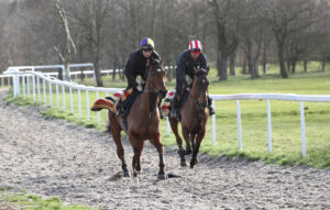 FU0E5631 The Jukebox Man