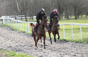 FU0E5632 The Jukebox Man