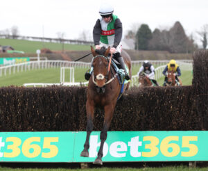 FU0E5797 Doyen Du Bar