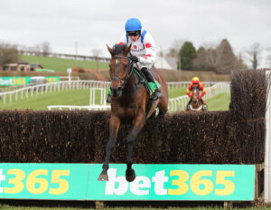 FU0E5850 Protektorat