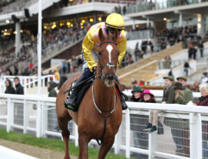 FU0E8219 Serious Challenge