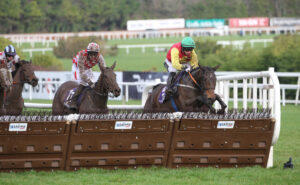 FV1E4549 Cousin Kate