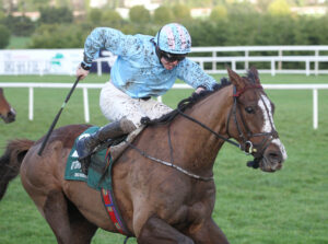 FV1E4983 Backmersackme