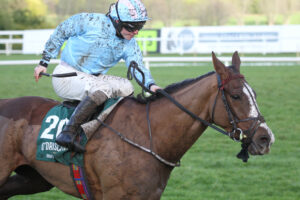 FV1E4985 Backmersackme