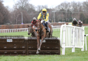 FV1E5413 Doctor Steinberg