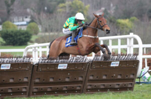 FV1E5548 Narciso Has