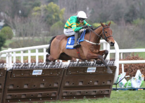 FV1E5549 Narciso Has