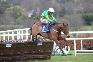 FV1E5550 Narciso Has