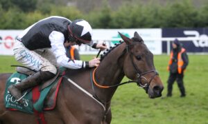 FV1E5789 Romeo Coolio