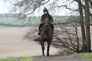 FV1E6032 Constitution Hill