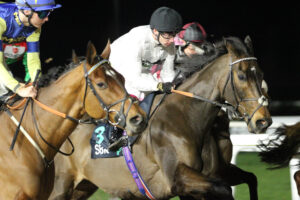 FV1E9044 Constitution Hill