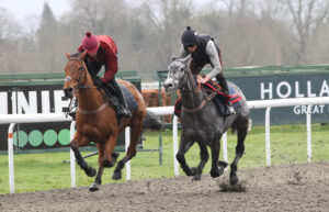 FV1E9162 No Drama This End