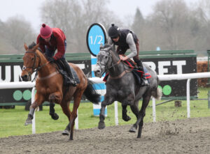 FV1E9167 No Drama This End