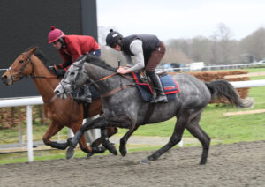 FV1E9182 No Drama This End