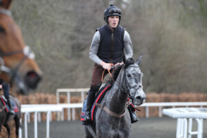 FV1E9202 No Drama This End