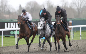 FV1E9663 Impose Toi   Hyland, Doddiethegreat