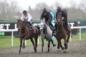 FV1E9664 Impose Toi , Hyland, Doddiethegreat