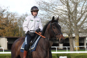 FV1E9762 Old Park Star