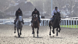 FV1E9798 Old Park Star [right]