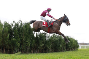 X5B1833 Favori De Champdou