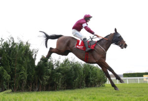 X5B1834 Favori De Champdou