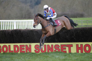 20J0074 Casual Observer