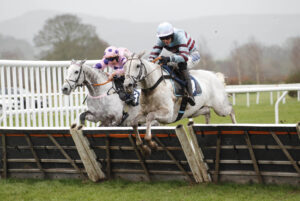 20J0263 Tankardstown Diva