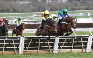 20J1176 King Rasko Grey