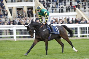 20J2110 Newton Tornado