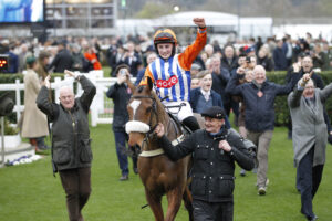 20J7771 Ask Brewster