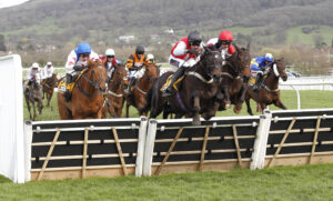 20J7907 Apolon De Charnie