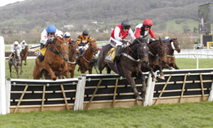 20J7908 Apolon De Charnie