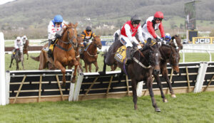 20J7909 Apolon De Charnie