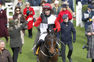 20J7950 Apolon De Charnie